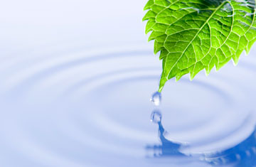 environmental, eco-friendly, water, green, reuse