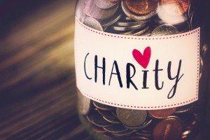 Charity, charity program