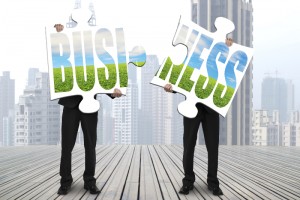 business green, merger, acquisition, environmental, business operations, business plan,