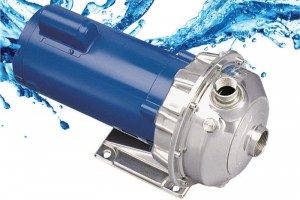Centrifugal pumps, Goulds Water Technology