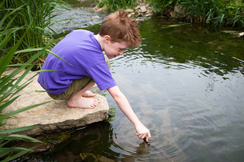 Child, creek, water, river, nature, environment, sustainability, elementary school, stream,