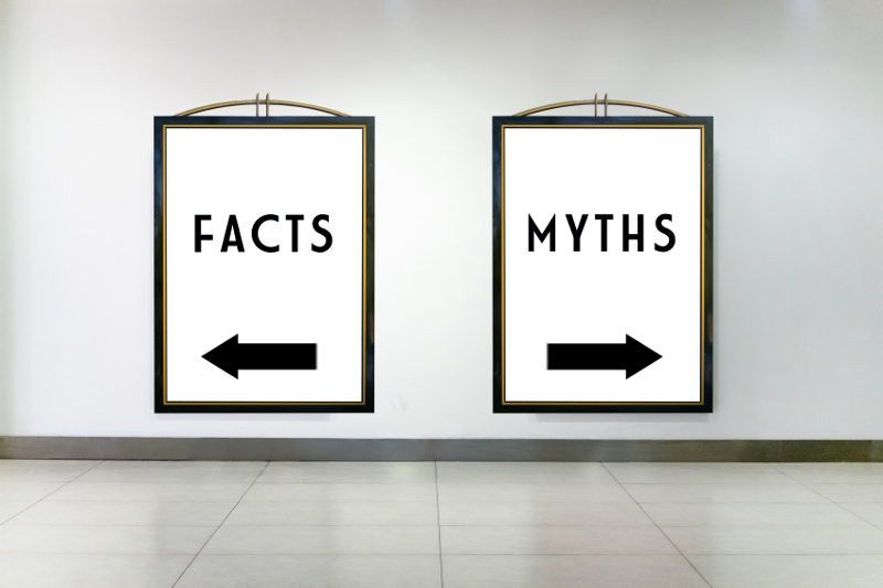 Facts, myths, business truths, challenge, comparison