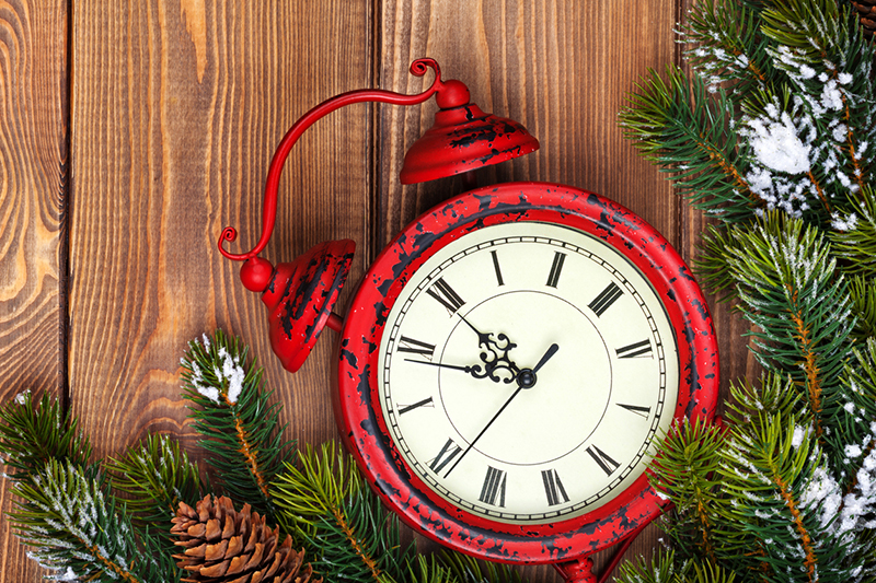 clock, time, time management, holidays, fir tree, pinecones, alarm clock