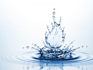 water, leaf, environmental protection, environment, water recycling