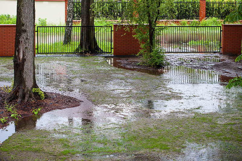 muddy backyard, water, runoff, flood