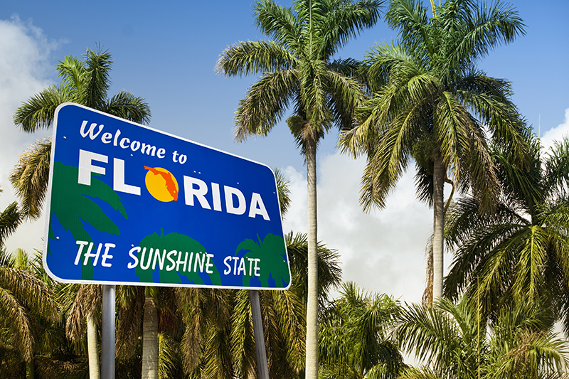 Florida, palm trees, welcome, sign