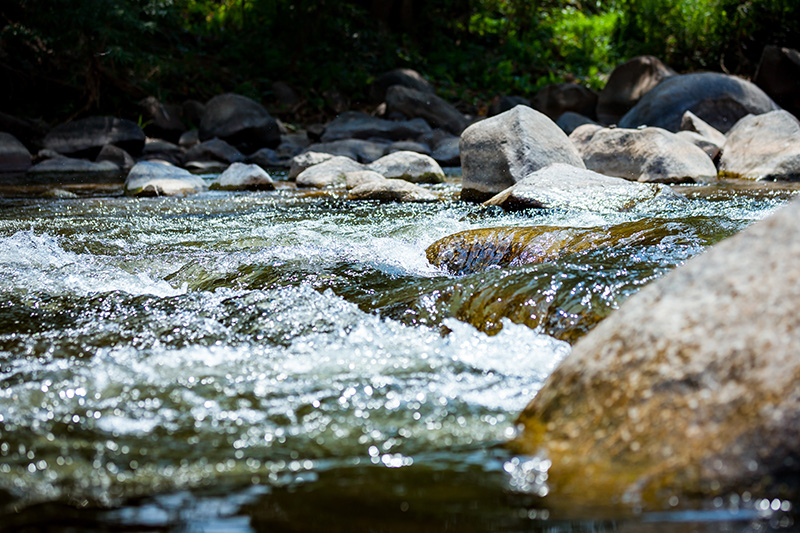 stream, green, water, river, rocks