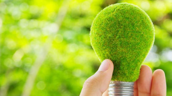 green energy, light bulb, SBA 504 Green Loan Program